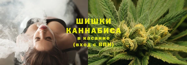 шишки Алексеевка